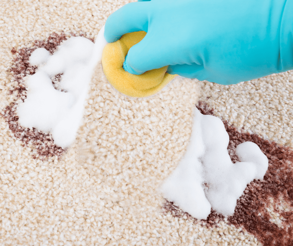 How To Deep Clean Carpet A Step By Step Guide Good Beginnings