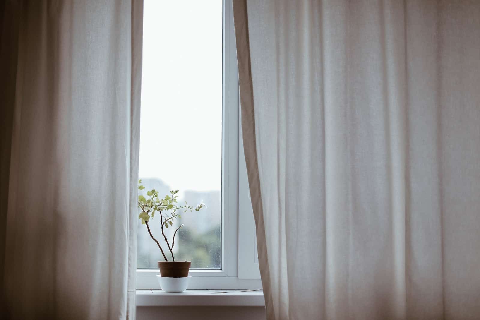 How to Get Mould off Curtains Good Beginnings