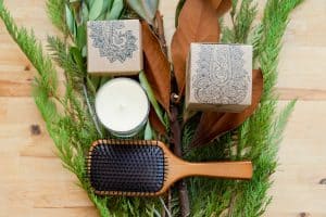 How to Clean a Boar Bristle Brush