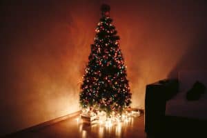 Christmas Tree During Night